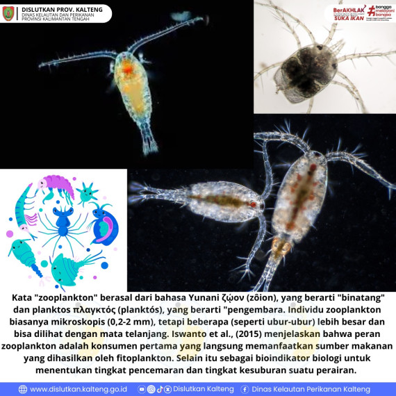 Gambar Hai Sobat Dislutkan. Mari kita simak informasi tentang Zooplankton melalui videografis berikut...