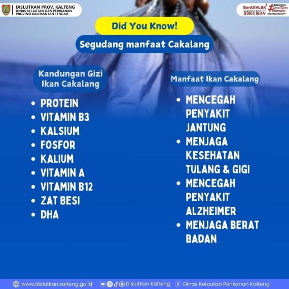 Gambar Segudang Manfaat Cakalang