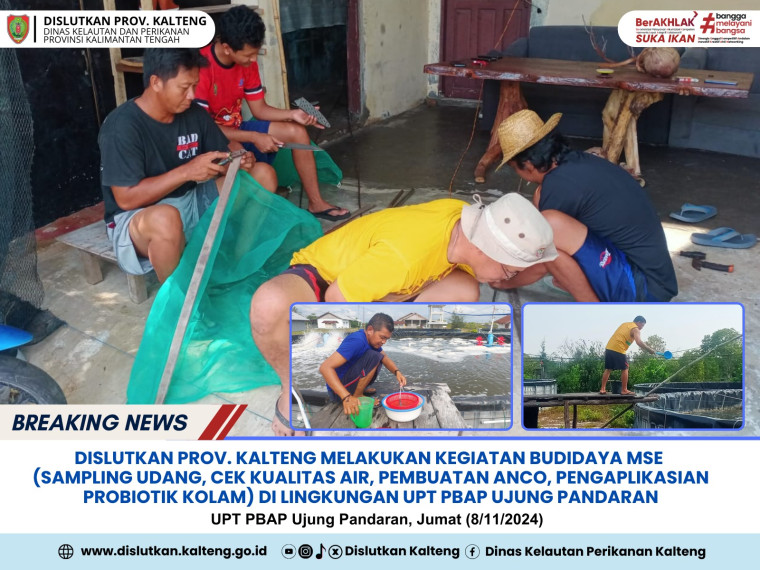 Gambar Dislutkan Prov. Kalteng melakukan kegiatan Budidaya Milenial Shrimp Estate