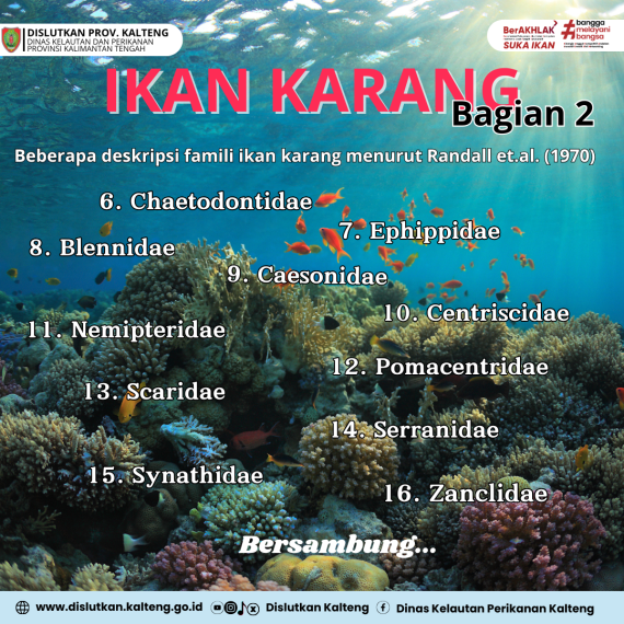 Gambar Ikan Karang Bagian 2