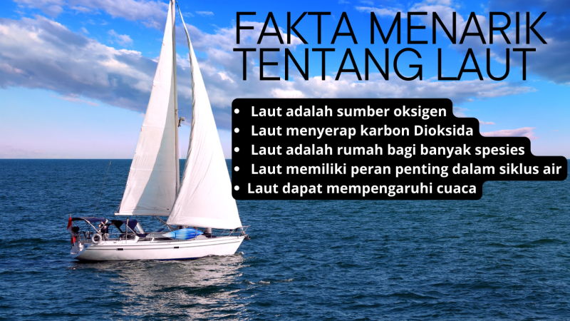 Gambar Fakta Menarik Tentang Laut