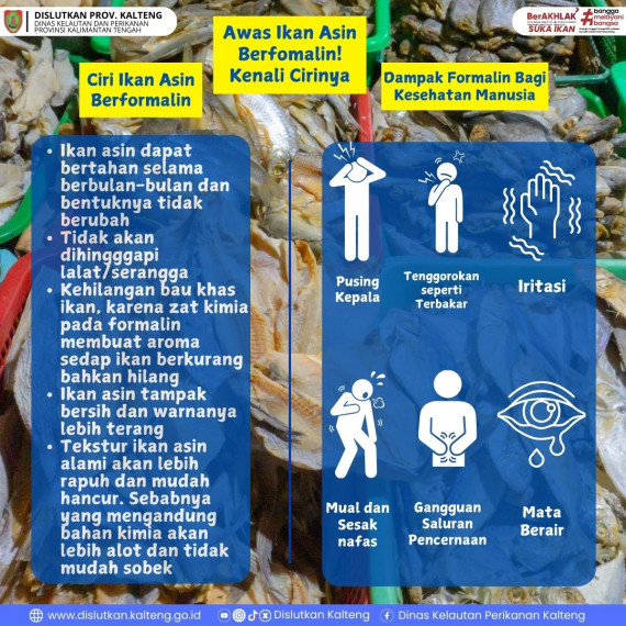 Gambar Awas ikan asin berformalin!! Kenali cirinya