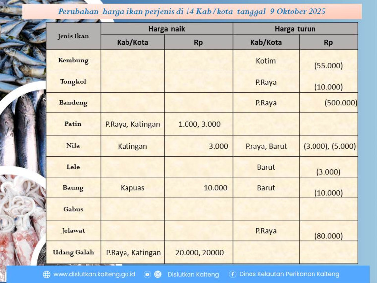Gambar Info harga ikan tanggal 9 Oktober 2025 dengan perubahan harga ikan di Kabupaten Barito Utara, Katingan dan Kota Palangka Raya.