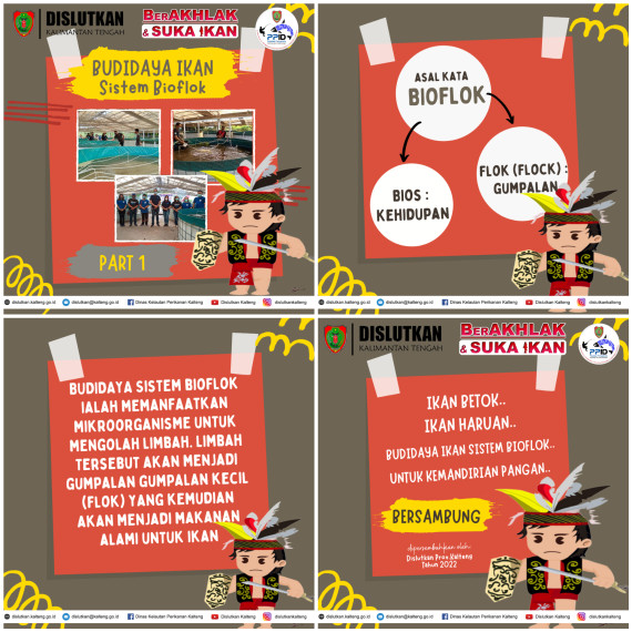 Gambar Budidaya Ikan Sistem Bioflok