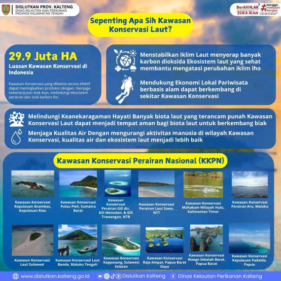 Gambar Sepenting Apa Sih Kawasan Konservasi Laut