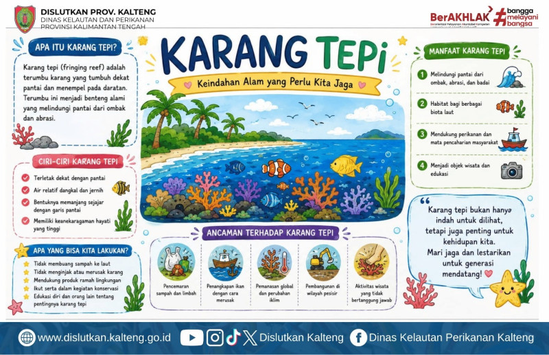 Gambar Terumbu karang tepi atau fringing reef