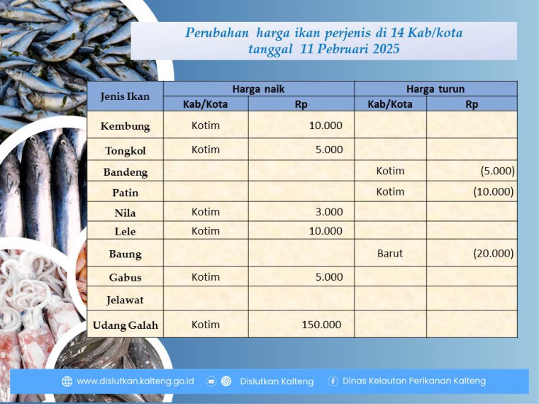 Gambar Informasi harga ikan tanggal 11 Pebruari 2025 dengan perubahan harga ikan terjadi di Kabupaten Kotawaringin Timur dan Barito Utara.
