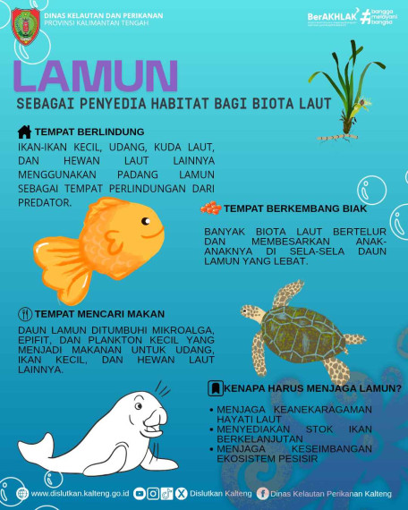 Gambar Kenapa sih LAMUN penting bagi biota laut?