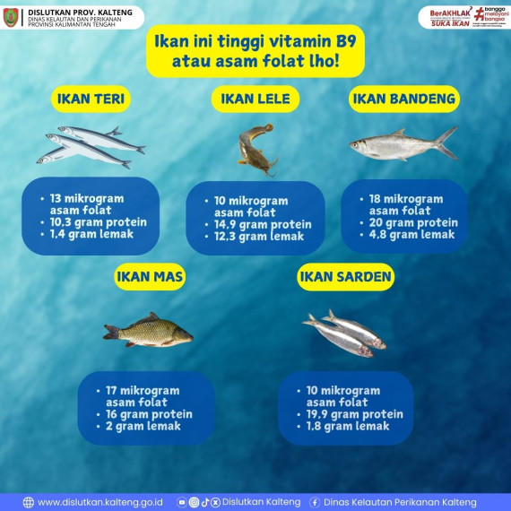 Gambar Ikan Lokal Tinggi Asam Folat