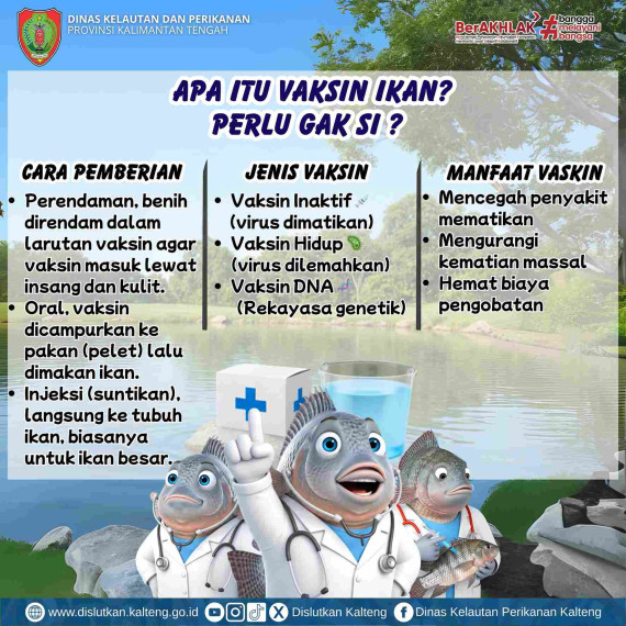 Gambar Apa Itu Vaksin Ikan?