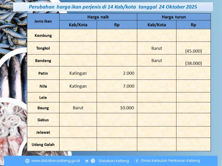 Gambar Info harga ikan tanggal 24 Oktober 2025 dengan perubahan harga ikan terjadi di kabupaten Katingan dan Bario Utara.