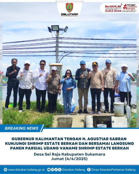 Gambar Gubernur Kalteng H. Agustiar Sabran Kunjungi Shrimp Estate Berkah