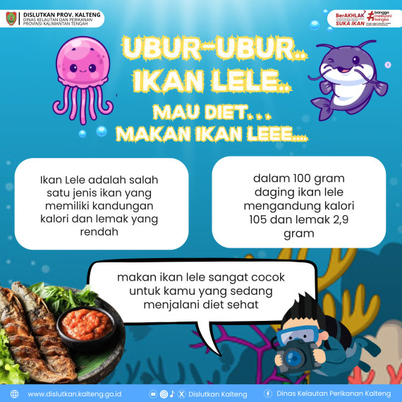 Gambar Ubur ubur Ikan Lele, Mau Diet Makan Ikan Lee..