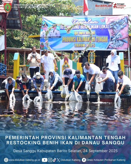Gambar PEMPROV KALTENG RESTOCKING BENIH IKAN DI DANAU SANGGU
