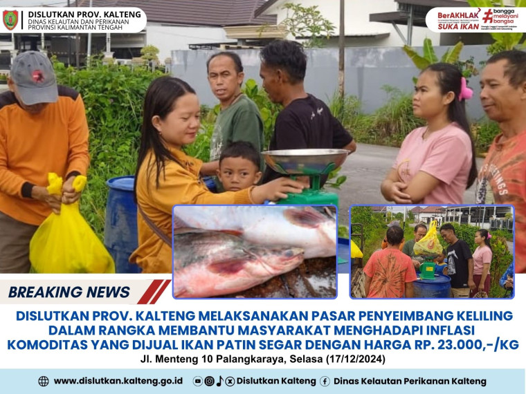 Gambar Dislutkan Prov. Kalteng melaksanakan kegiatan pasar penyeimbang keliling yg dilaksanakan di Jl. Menteng 10 Palangkaraya, dengan komoditas yang dijual ikan Patin, Selasa (17/12/2024)    #kaltengmakinberkah