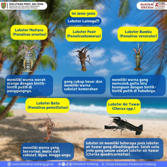 Gambar Jenis-Jenis Lobster