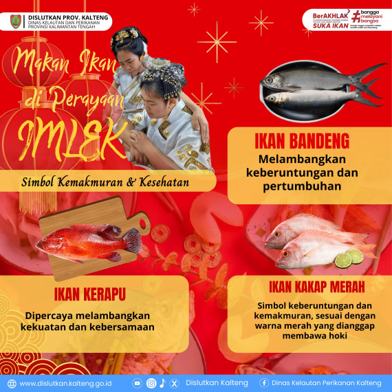 Gambar Persiapan Imlek makin spesial nih! Menu utama berbahan ikan, punya makna penting dalam tradisi Imlek. Ikan melambangkan kemakmuran, kesehatan dan rezeki berlimpah sepanjang tahun, lho! Apa aja ya jenis ikan yang disajikan saat imlek?