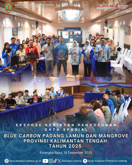 Gambar Penyusunan Data Spasial Blue Carbon Padang Lamun dan Mangrove Provinsi Kalimantan Tengah Tahun 2025