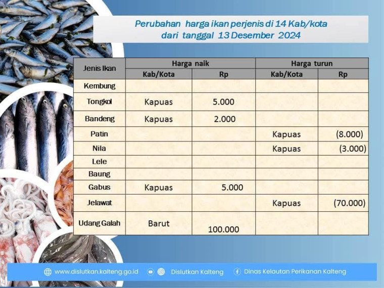 Gambar Info harga ikan tanggal 13 Desember 2024 dengan perubahan harga ikan dengan perubahan terjadi di kab. Kapuas dan Barita Utara.