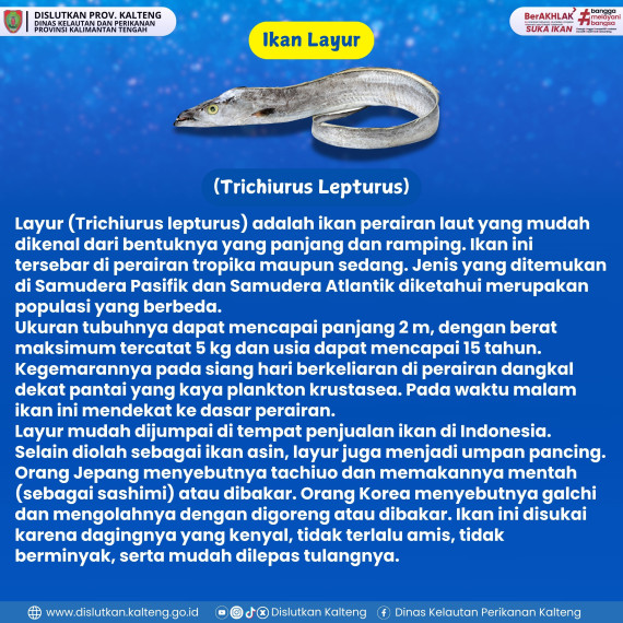 Gambar IKAN LAYUR
