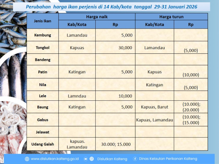 Gambar Info harga ikan dari tanggal 29-31 Januari 2026