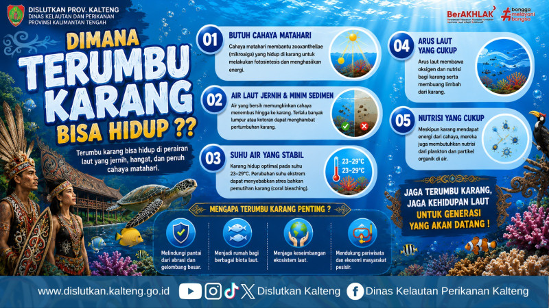 Gambar Terumbu karang tidak bisa hidup di sembarang tempat