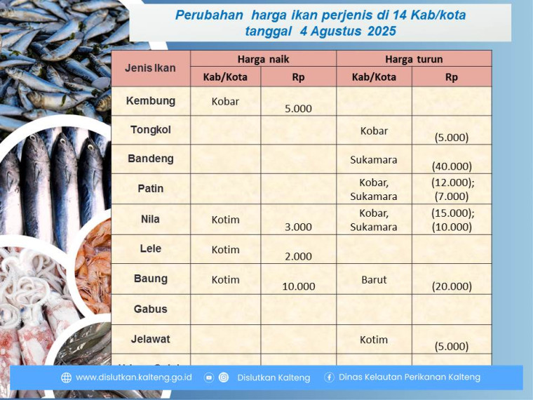 Gambar Info harga ikan tanggal 4 Agustus 2025 dengan perubahan harga ikan terjadi di kabupaten Barito Utara, Kotawaringin Timur, Kotawaringin Barat dan Sukamara.
