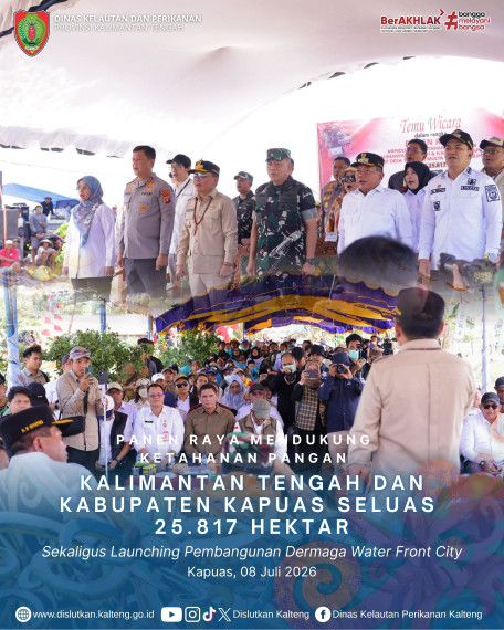 Gambar Header