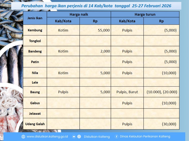 Gambar Informasi harga ikan dari tanggal 25-27 Pebruari 2026
