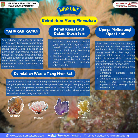 Gambar Kipas Laut yang memiliki keindahan yang memukau di lautan