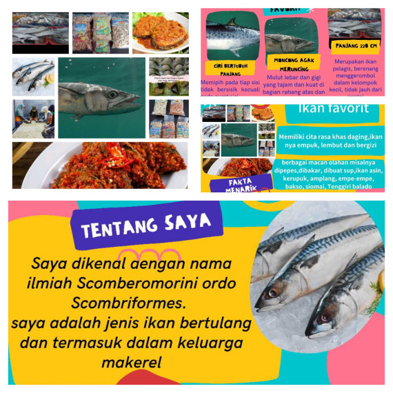 Gambar Mengenal Ikan Tenggiri