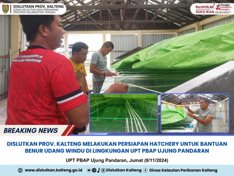 Gambar Dislutkan Prov. Kalteng Melakukan Persiapan Hatchery untuk bantuan benur udang windu di lingkungan UPT PBAP Ujung Pandaran