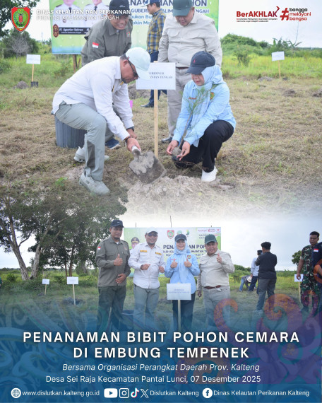 Gambar Kepala Dislutkan Prov. Kalteng Sri Widanarni, S.I.P, M.Si beserta Organisasi Perangkat Daerah Melaksanakan Penanaman Pohon Cemara