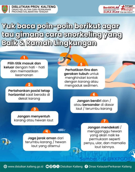 Gambar Snorkeling yang Aman dan Ramah Lingkungan! Part 1