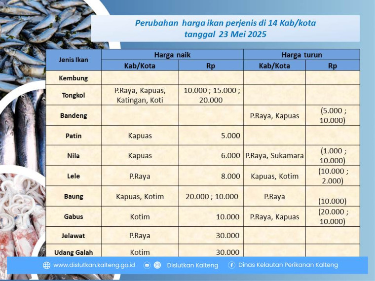 Gambar Info harga ikan tanggal 23 Mei 2025 dengan perubahan harga ikan terjadi di Kabupaten Sukamara, Kapuas, Katingan, Kotim dan Kota Palangka Raya.
