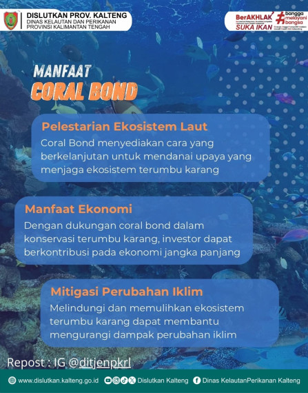 Gambar Mari mengenal manfaat Coral Bond!