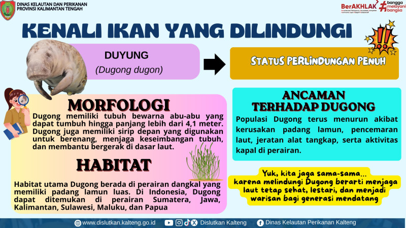 Gambar Header