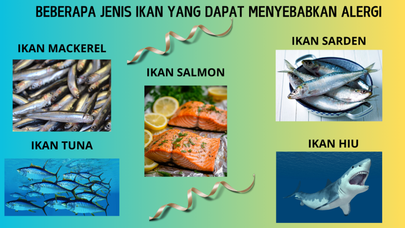 Gambar BEBERAPA JENIS IKAN YANG DAPAT MEMYEBABKAN ALERGI