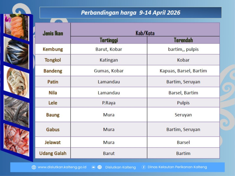 Gambar Info harga ikan dari tanggal 9-14 April 2026
