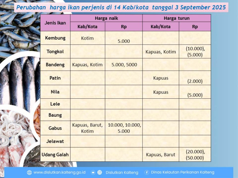 Gambar Info harga ikan tanggal 9 September 2025. Dan perubahan harga ikan terjadi di Kabupaten Kapuas, Barito Utara dan Kotawaringin Timur.