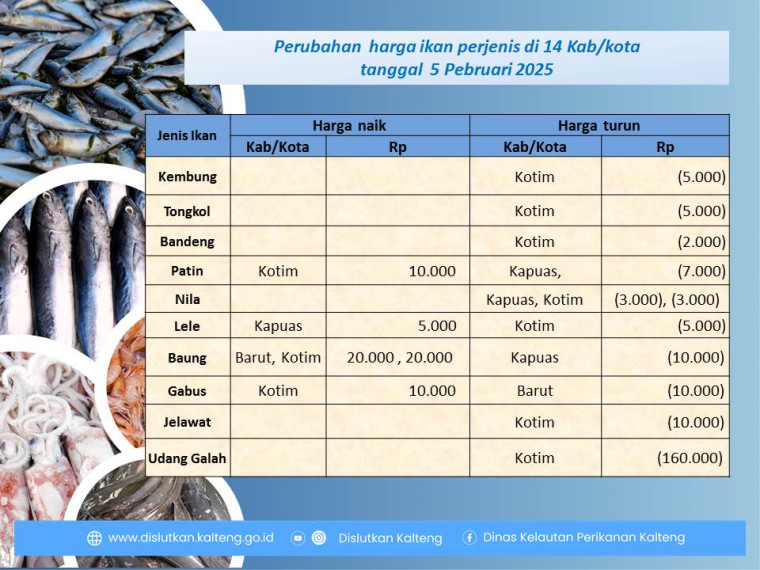 Gambar Informasi harga ikan tanggal 5 Februari 2025 dengan perubahan harga ikan terjadi di Kabupaten Kapuas, Barito Utara dan Kotawaringin Timur.