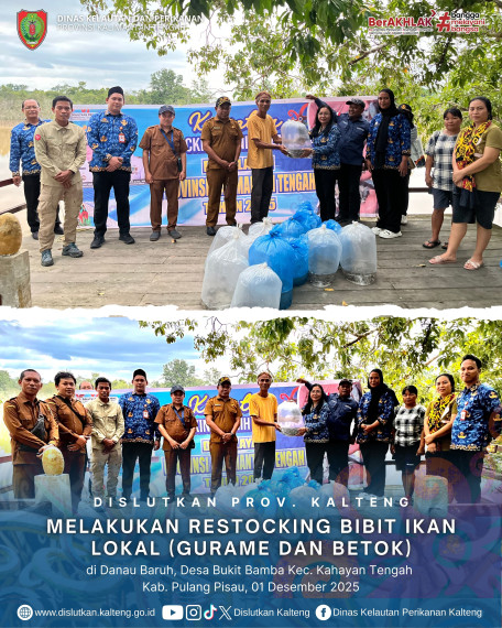 Gambar Restocking Bibit Ikan Lokal (Gurame dan Betok) Danau Baruh, Desa Bukit Bamba Kec. kahayan Tengah Kab. Pulang Pisau