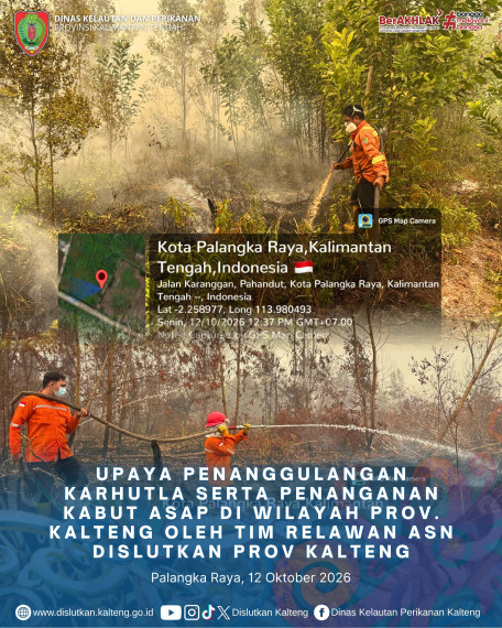 Gambar Header