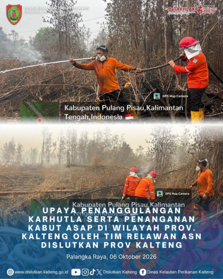 Gambar Header