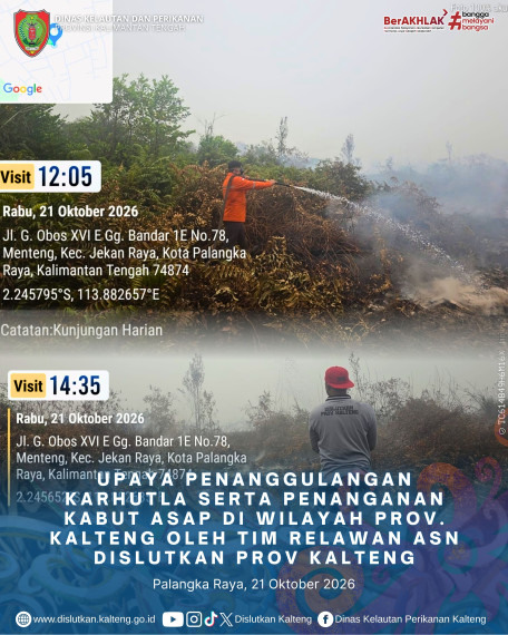 Gambar Header