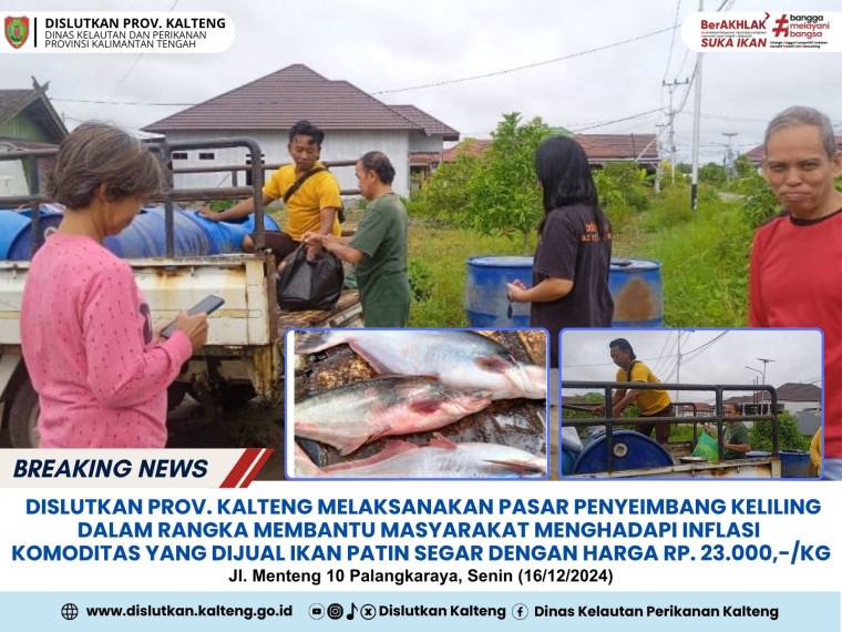 Gambar Dislutkan Prov. Kalteng melaksanakan kegiatan pasar penyeimbang keliling yg dilaksanakan di Jl. Menteng 10 Palangkaraya, dengan komoditas yang dijual ikan Patin, Senin (16/12/2024)