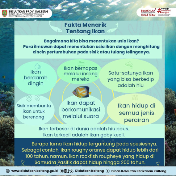 Gambar Fakta Menarik tentang Ikan