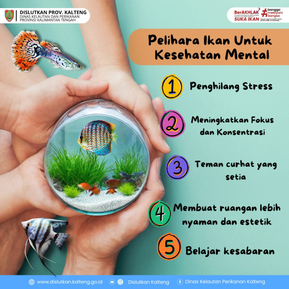 Gambar Tahukah kamu? Menatap ikan yang berenang bisa meredakan stres, menenangkan pikiran, dan bahkan menurunkan tekanan darah. Selain itu, suara gemericik air dari akuarium menciptakan suasana damai yang mendukung relaksasi.