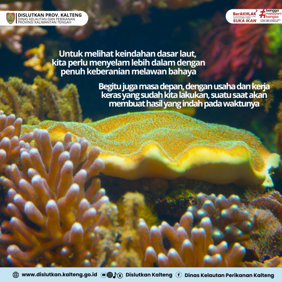 Gambar Usaha dan kerja keras, suatu saat akan membuahkan hasil yang indah pada waktunya