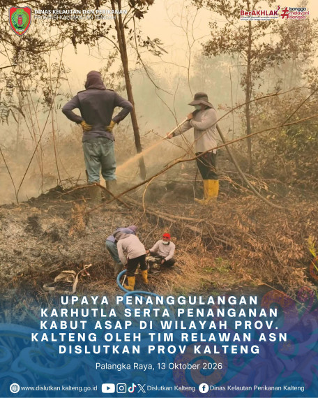 Gambar Header